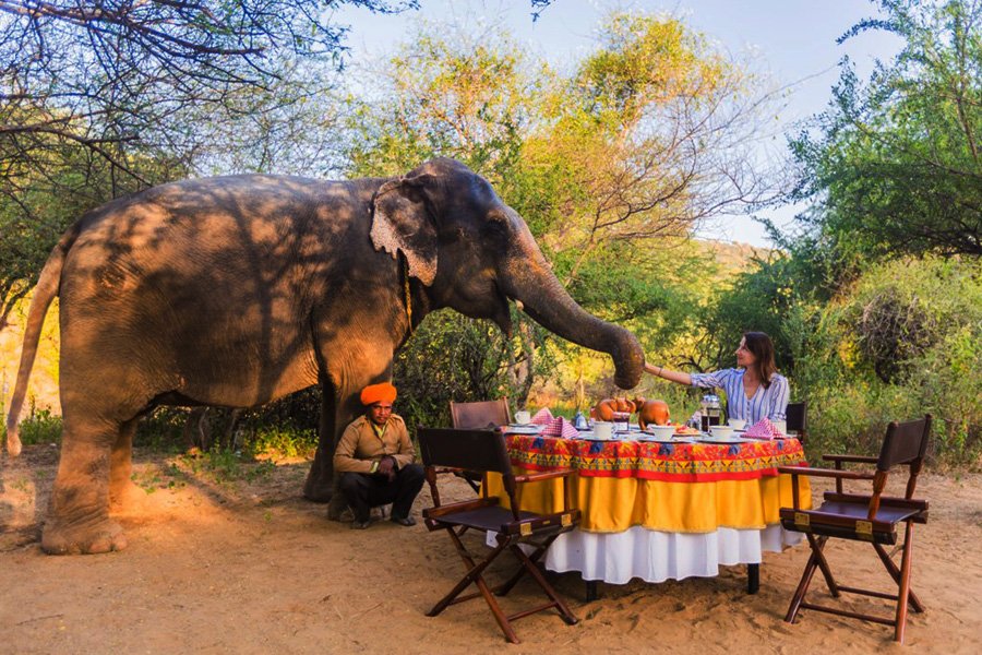 Jaipur Luxury Maharaja Tour